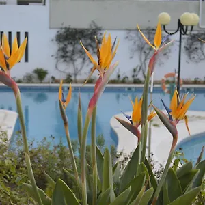 Apartamento Próximo Da Marina C/piscina E Estacionamento, Vilamoura